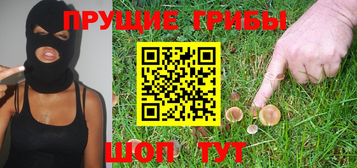 Галлюциногенные грибы Cubensis Нягань